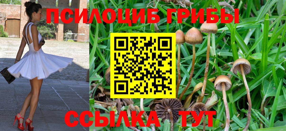 цены   Вход с VPN  Нижний Новгород  Галлюциногенные грибы Psilocybe 