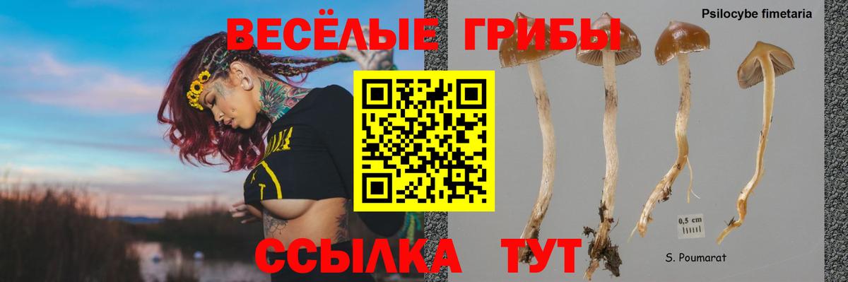 Псилоцибиновые грибы MAGIC MUSHROOMS Нижний Новгород